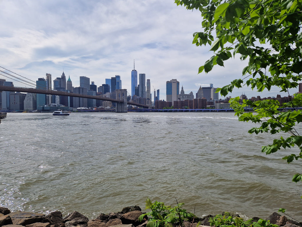 NYC-Manhattan-from-Brooklyn-Bridge-Park-2.jpg