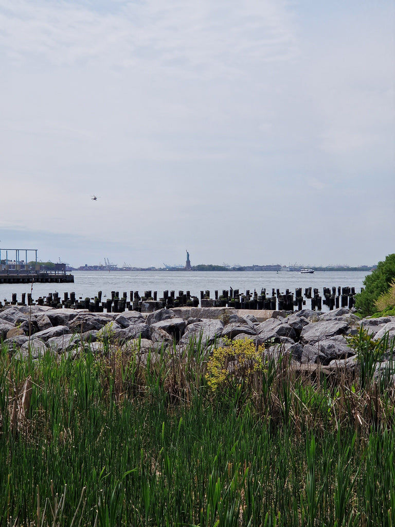 NYC-Statue-of-Liberty-from-Brooklyn-Bridge-Park-South-Island-Art