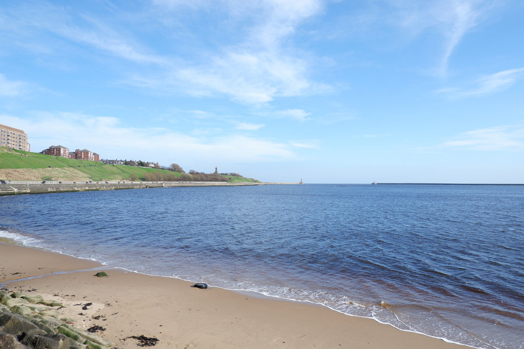 Beach at North Shields England with blue skies and green hillside with coastal path and apartment blocks.