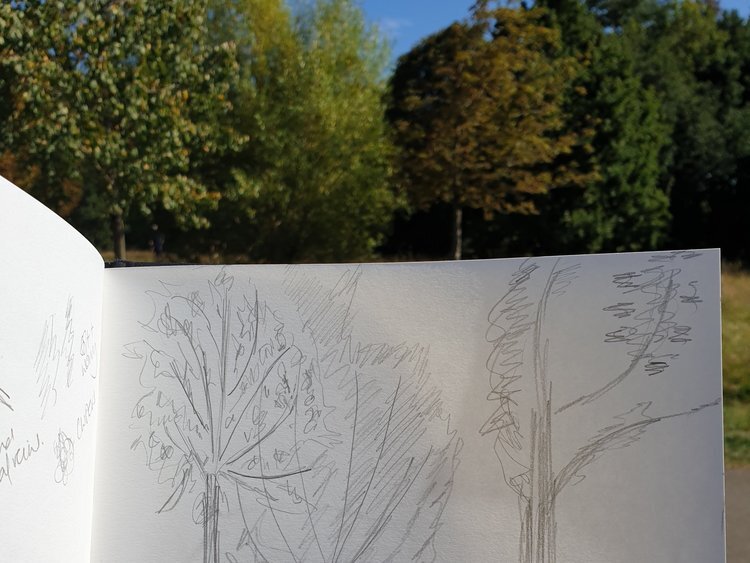 South Island Art sketching in the park