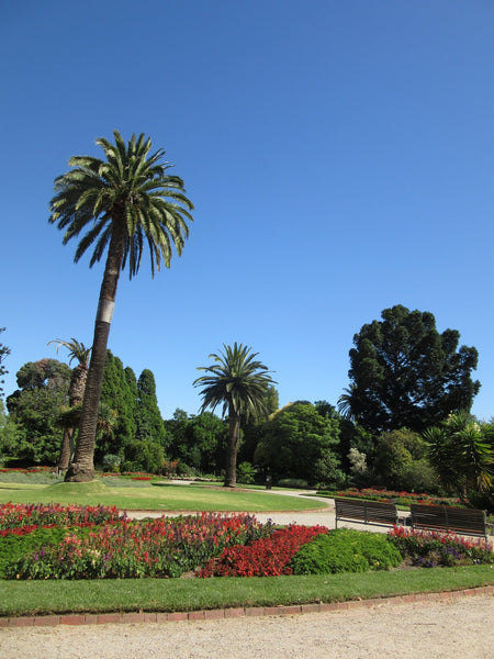 St-Kilda-Melbourne-Botanical-Gardens
