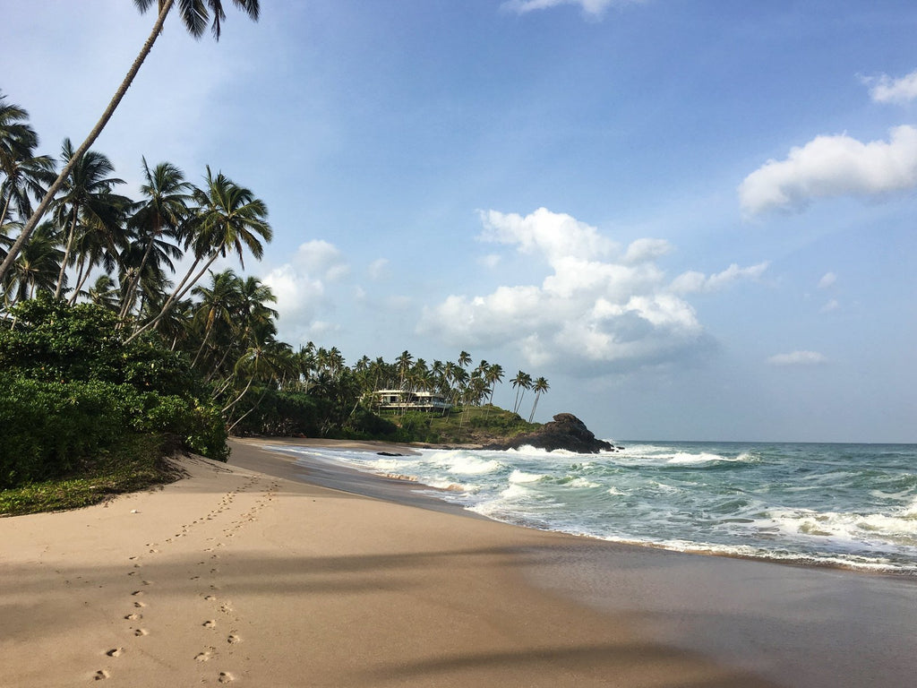 Tangalle-beach-Sri-Lanka-with-swaying-palm-trees-and-our-footprints-in-the-sand
