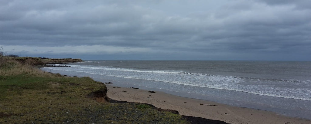 Grey skies, a grassy headland with sandy beach below as the tide comes in.