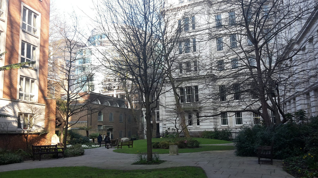 Bare winter trees in a square surrounded by old London buildings.