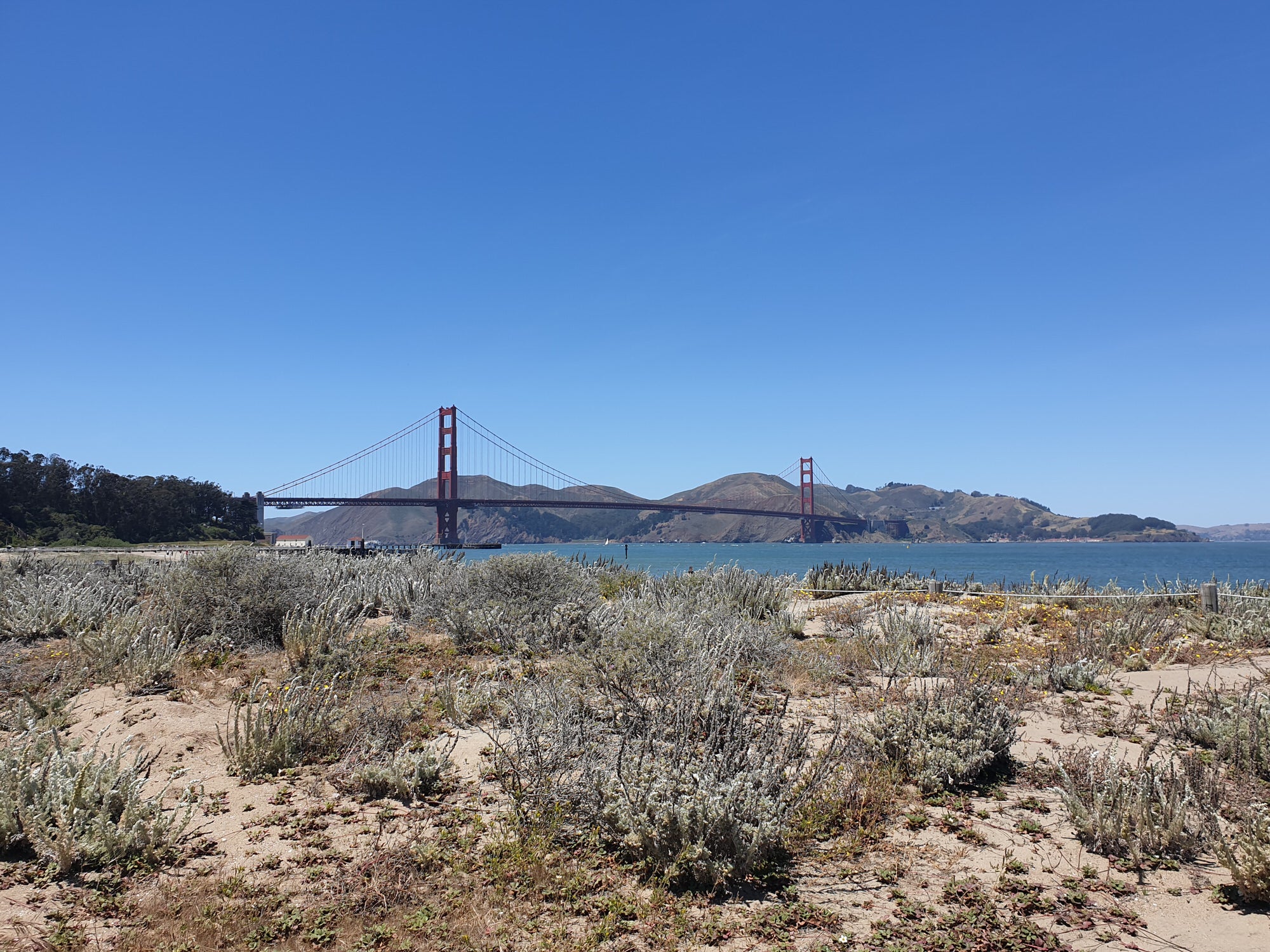 Golden Gate Bridge seen from the Presidio with cacti and plants in the sandy foreground.