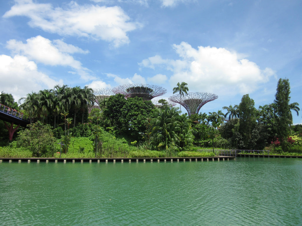 A green-blue lake with tropical trees and Supertree structures in Singapore's Gardens By The Bay.