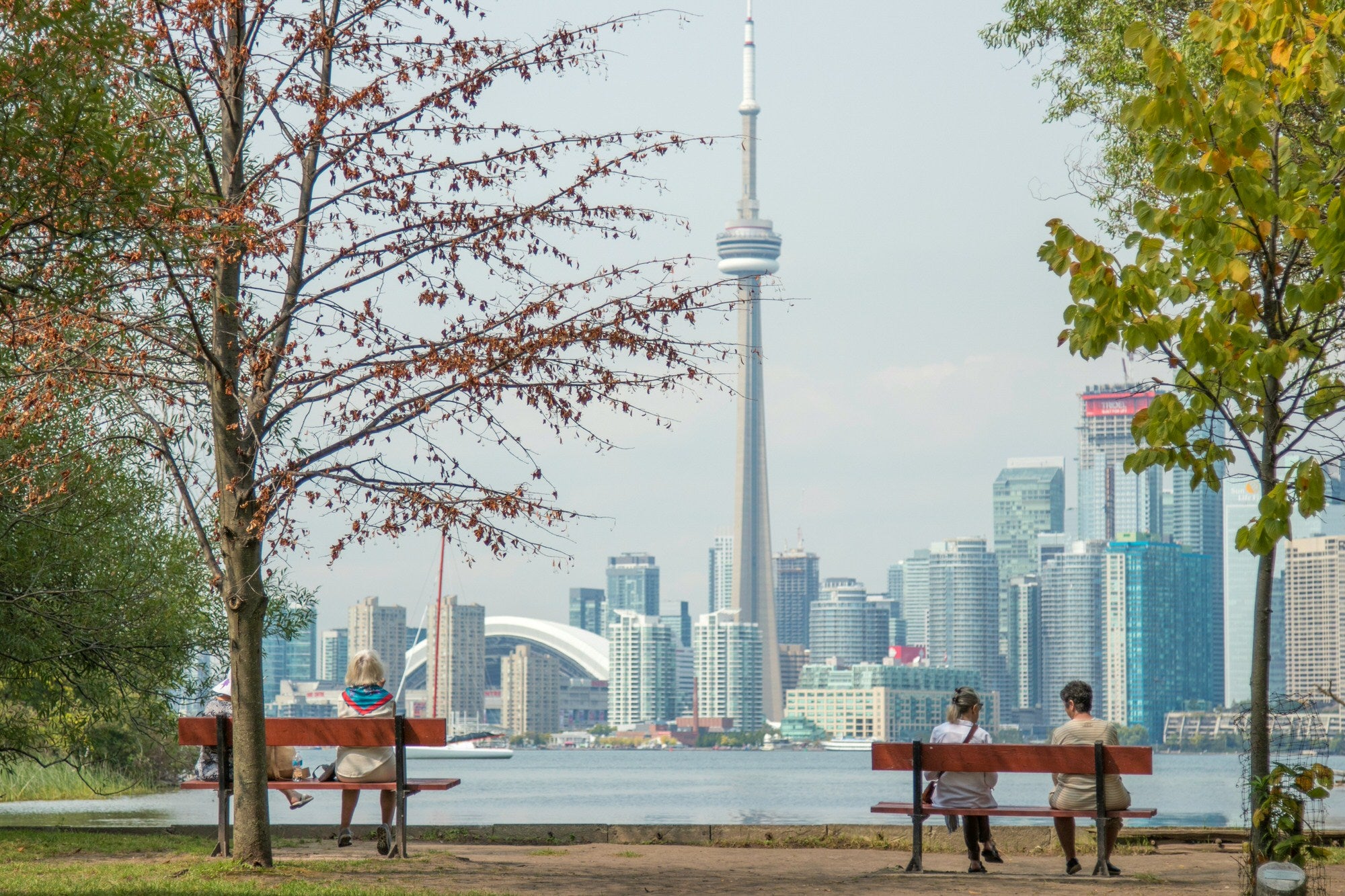 People sitting on benches on Toronto Islands, gazing at the Toronto skyline.