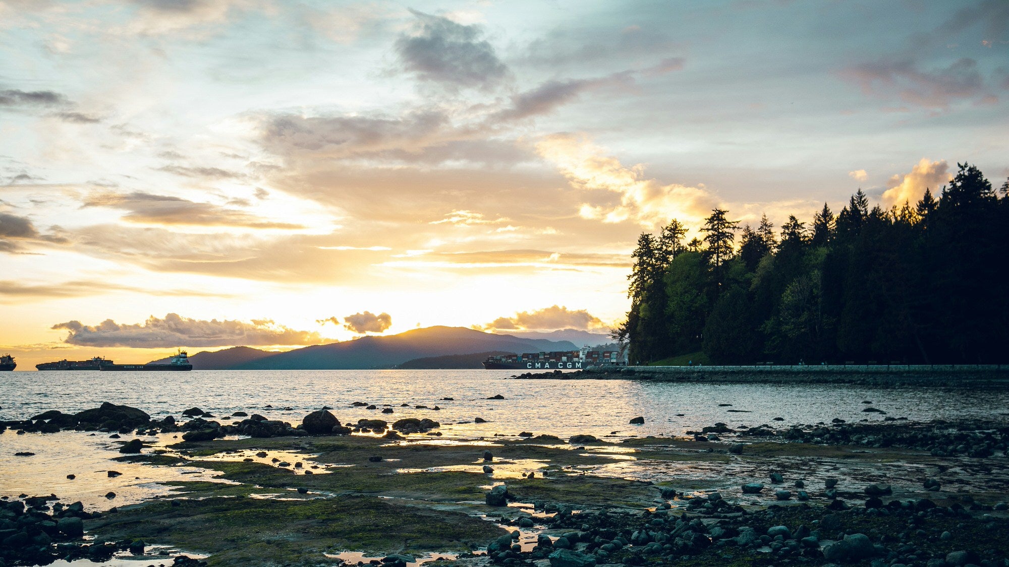 Vancouver landscape at sunset with beach, forest and mountains.