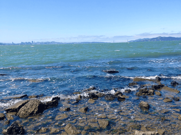 Bay Trail at Albany California