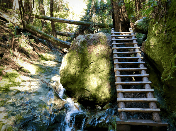 Steep Ravine and Dipsea Trail