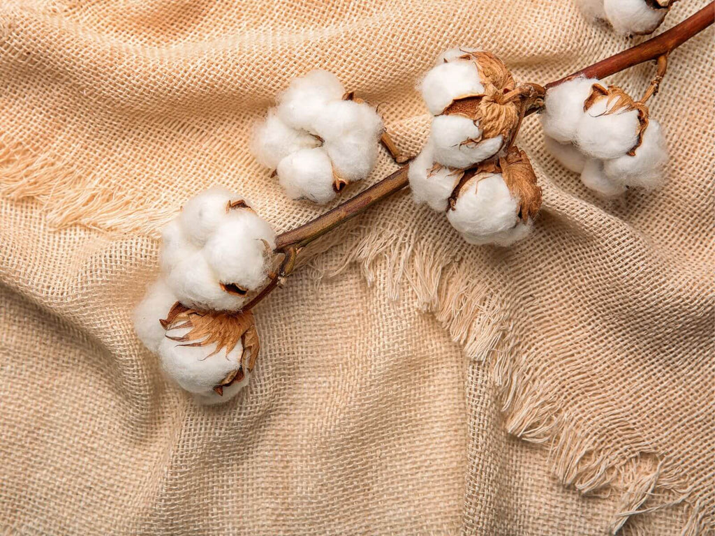 Burlap and cotton plant natural flbers