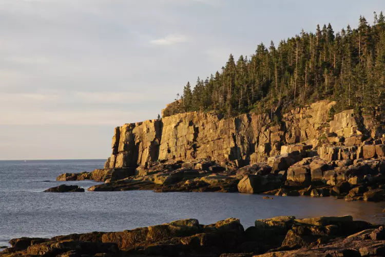 Otter Cliff in Maine