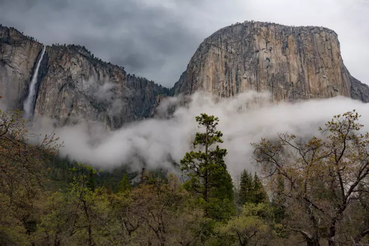 National Park in California