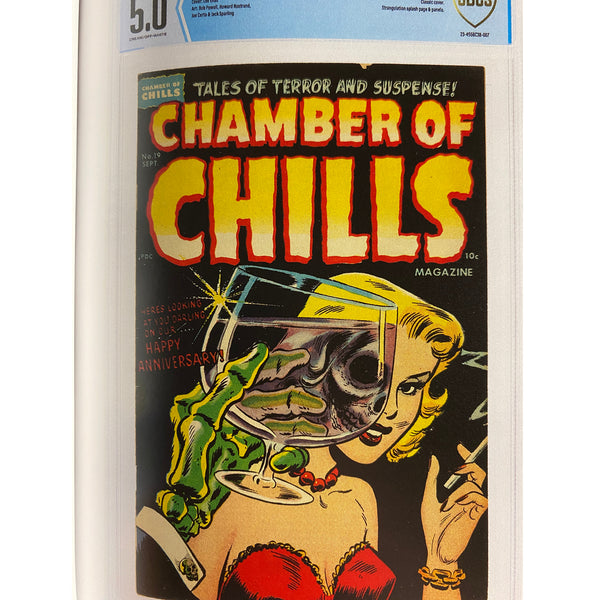 chamber of chills 19 cover art