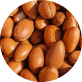 Argan Plant Stem Cells