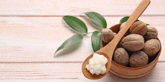 benefits of shea for hair
