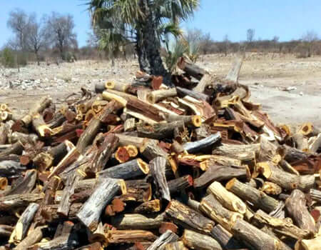 Kameeldoring Namibian Hardwood