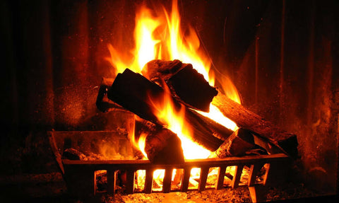 Which Fireplace wood is the Best - Fireplace wood Comparison - Cape Town Firewood