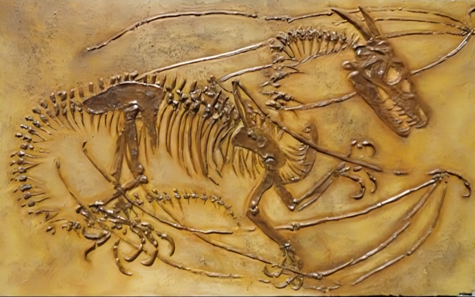fossile dragon