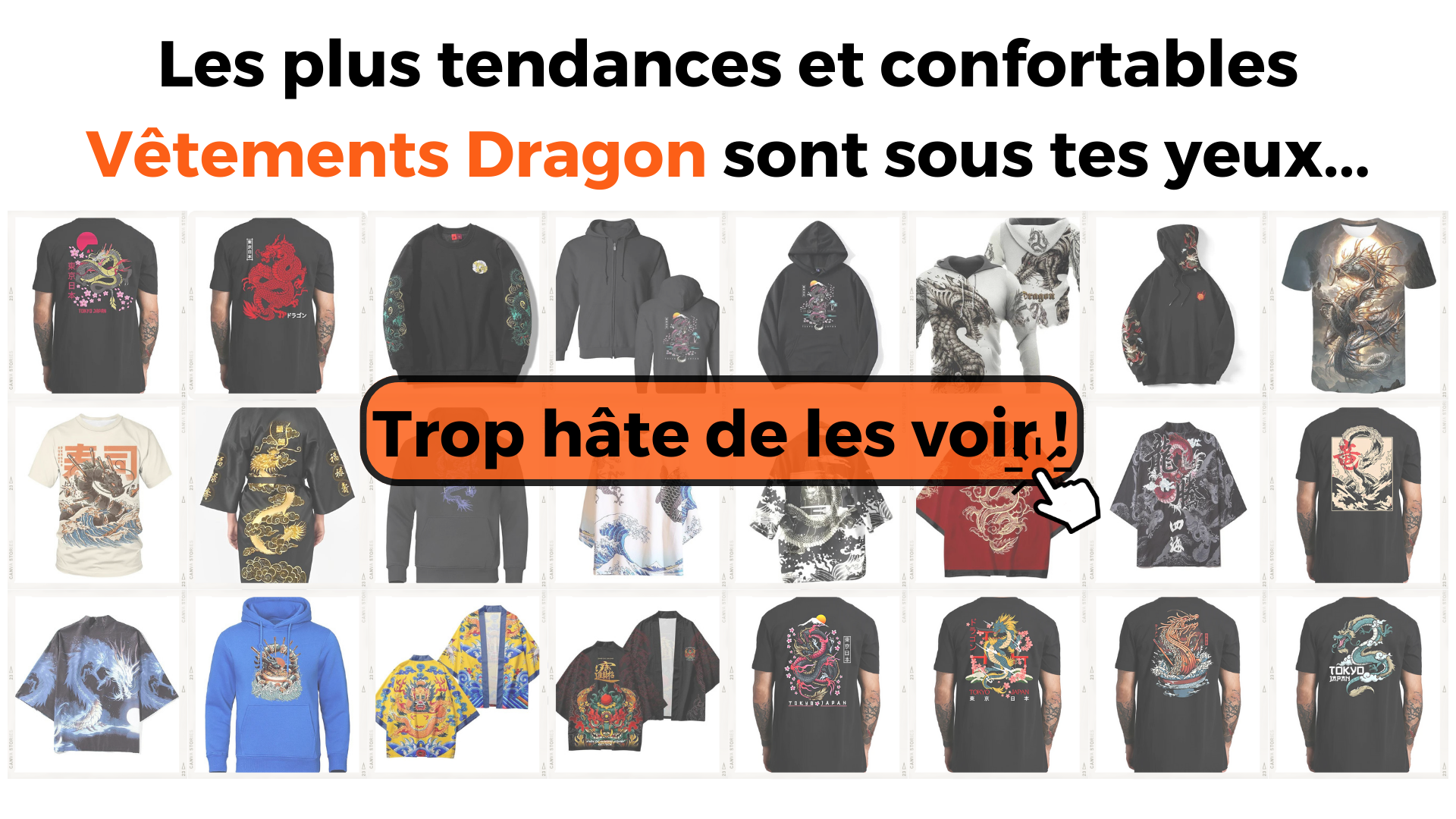 Vêtements Dragon