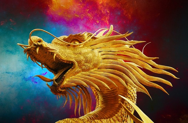 dragon sagesse et protection