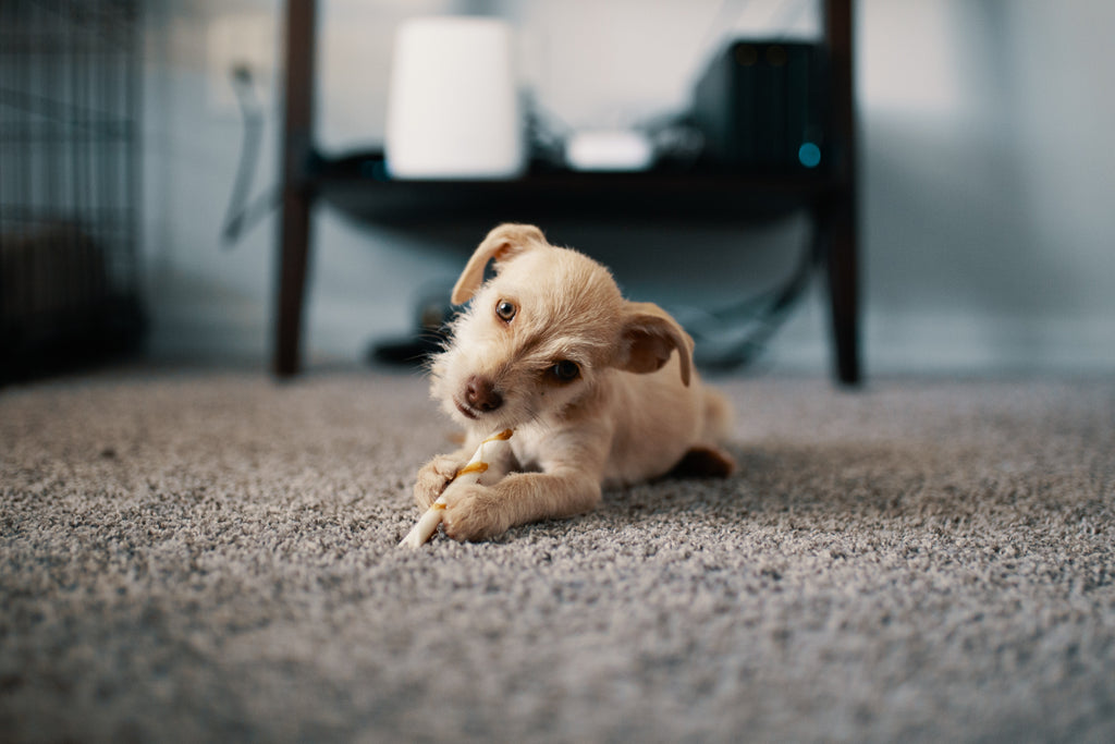 Texture impact on rugs