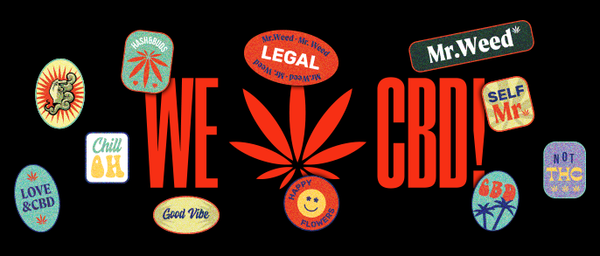 Mr. Weed Tienda CBD Pinto | Proveedor CBD España