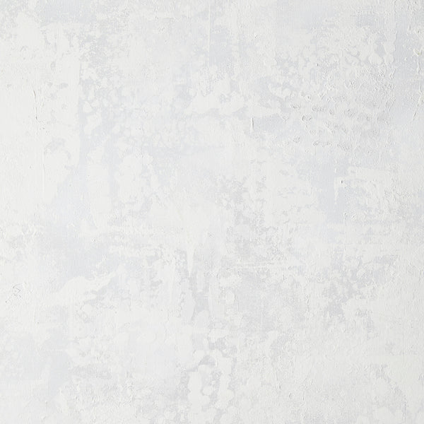 White Frost Background.