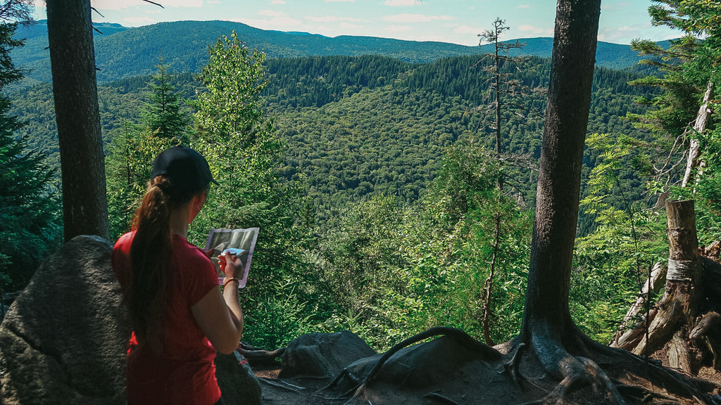 Point de vue du sentier les Coulées