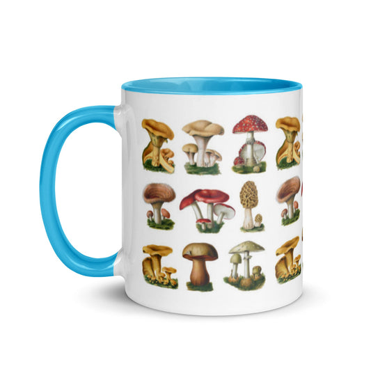 https://cdn.shopify.com/s/files/1/0692/2502/1715/products/colorful-mushrooms-mug-587201.jpg?v=1672517966&width=533