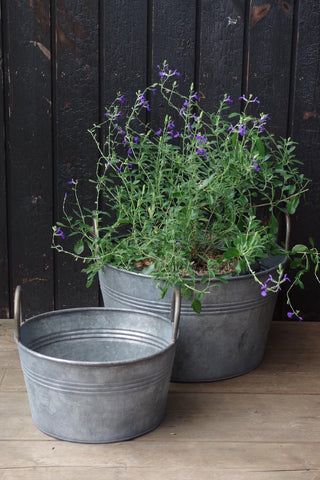 Galvanised bucket planters