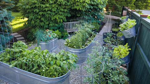 Grow vegetables in galvanised troughs