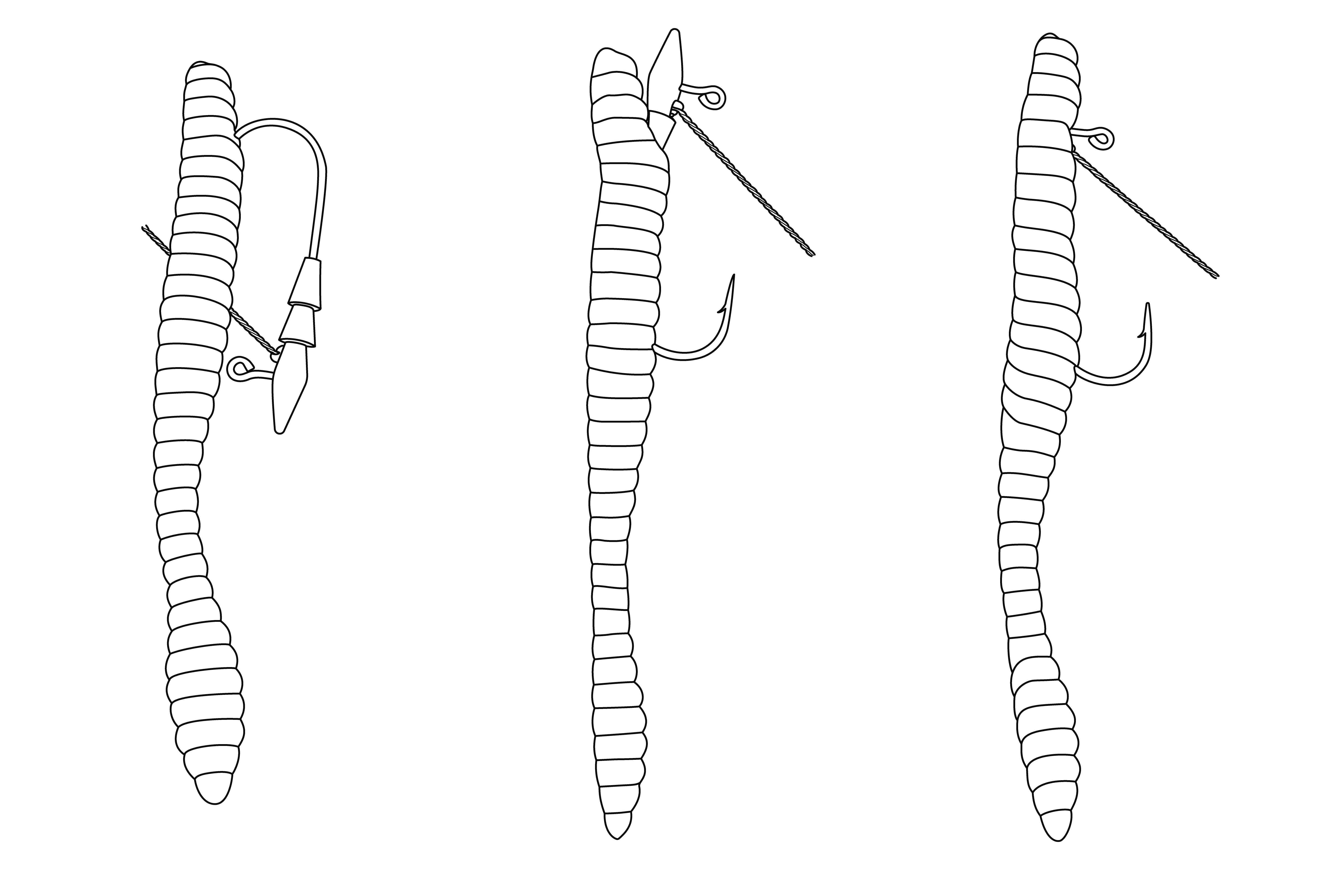 HR - Rigging Steps All.jpg__PID:32956f9c-ba7c-40e2-afc3-2295f06e253f