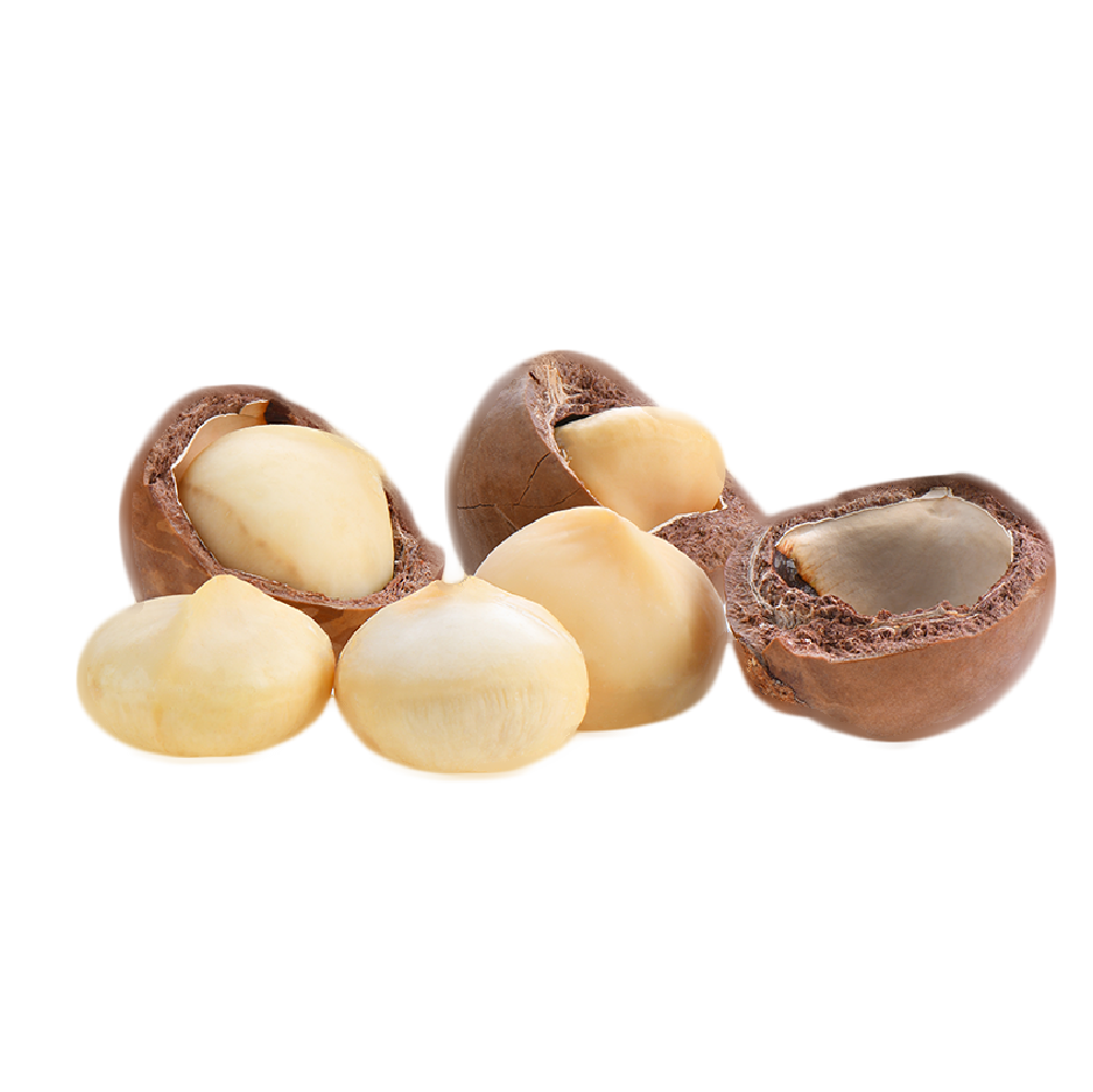 Camel Nuts Macadamias Collection