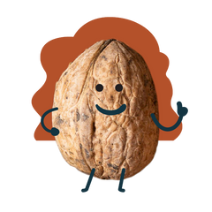 Mother's Day 2024: Walnuts personality - the super brain