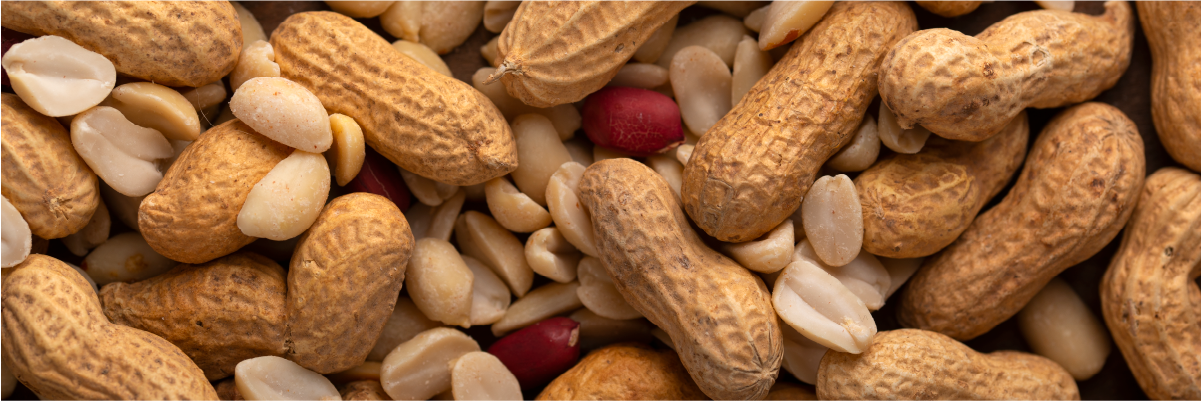 Peanuts are not nuts but they belong to the legumes family.