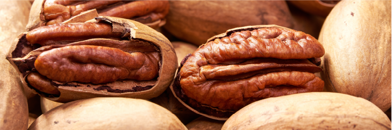 Pecans are a good source of selenium that is required to produce serotonin that is associated with mood regulation and sleep-wake cycles.