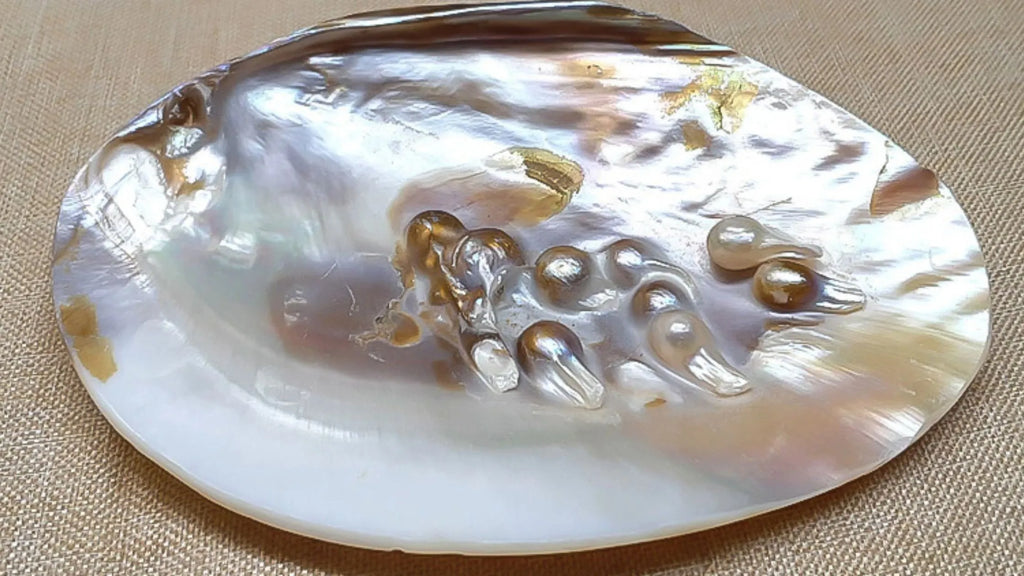 Pearl Vs Mother Of Pearl