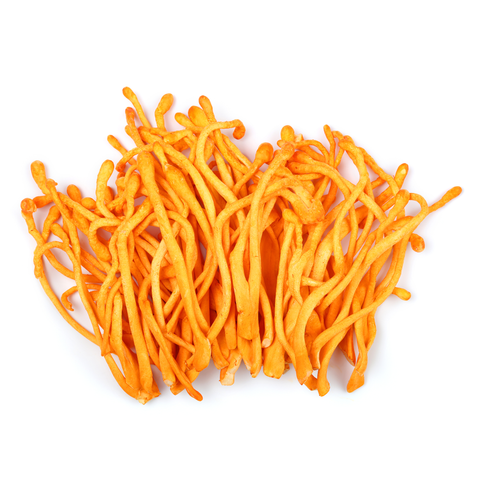 Cordyceps Mushroom