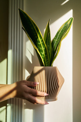 A beige cedar oil infused passive diffuser unique planter by Woodland Pulse. This unique planter is being held near a windowsill.