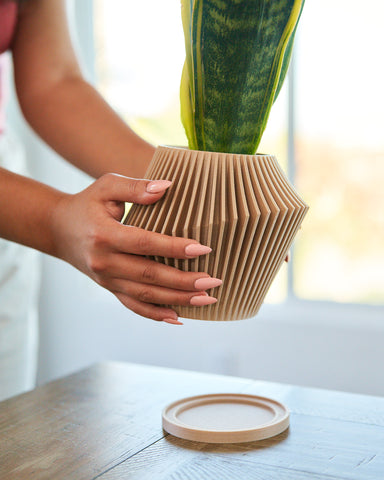 A cedar scented DISC unique planter & passive diffuser by Woodland Pulse being held.