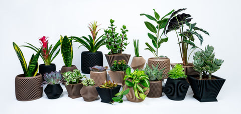 Designer Pots for plants by Woodland Pulse.