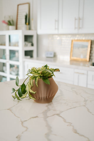 Small flower pot DISC by Woodland Pulse. This unique planter is also a wood diffuser with cedar oil.