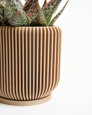 A beige wood flower pot by Woodland Pulse. IONIC is great decorations for therapy office.
