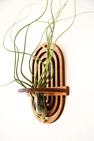 Airblush Co. air plant holder.