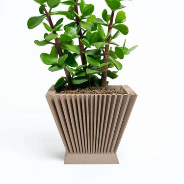 Wood Geometric Plant Pots Air Element, Earth Element, Vector 3 4 6 Inch  Planters 3D Printed 