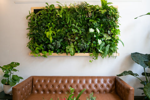Green plant wall above modern brown couch.