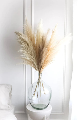 Large white pampas grass in clear glass vase.