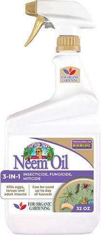 Captain Jack's neem oil.