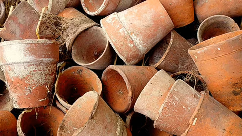 Many old terracotta flower pots.